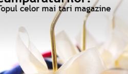 Paradisul cumparaturilor: topul celor mai tari magazine