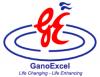 GANO EXCEL SRL