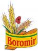 BOROMIR IND SRL VILCEA SUCURSALA DEVA