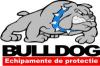 DELSTEF SRL