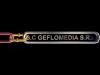 GEFLOMEDIA SRL