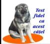 TEST FLAG SRL