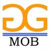 G & G MOB SRL