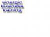 CONINSTERM SINERGIC SRL