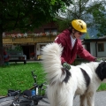 Via Claudia - Vacanta cu bicicletele - Foto 5 din 8