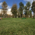 Parcul Palas Iasi - Foto 4 din 4