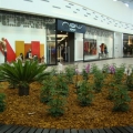 Inaugurare Maritimo Shopping Center - Constanta - Foto 10 din 23
