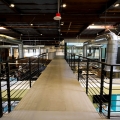 Google L.A. - Foto 3 din 8