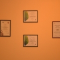 Biroul HART HR Consulting - Foto 20 din 20