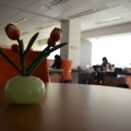 Birourile Domo - Foto 29 din 38