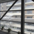 Birou de companie - Foto 16 din 33