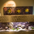 Concept-store-urile reinventeaza business-ul autohton - Foto 8 din 12