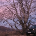 Jeep Wrangler - Foto 18 din 30
