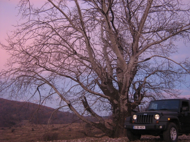 Test Drive Wall-Street: Jeep Wrangler - Foto 18 din 30