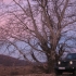 Test Drive Wall-Street: Jeep Wrangler - Foto  - 18