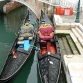 Italia, in straie de sarbatoare: Vezi cum arata Carnavalul de la Venetia in 2010 - Foto 18 din 36