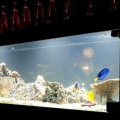 Restaurant Aqua - Foto 4 din 5