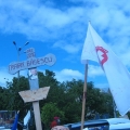 Miting, Piata Victoriei - Foto 1 din 49
