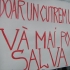 Romania se revolta: Ce solutii anti-criza au bugetarii din Piata Victoriei - Foto  - 8