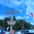 Miting, Piata Victoriei - Foto 29 din 49