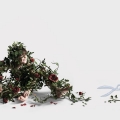 Executiile campaniei Fenistil Skin Sensations - Foto 3 din 4