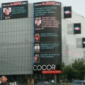 Cocor - Foto 1 din 14
