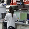 Cum se produc medicamentele la fabrica LaborMed din Bucuresti - Foto 16 din 20