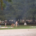 Complexul Astoria Snagov - Foto 4 din 7