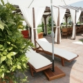 TreeHouse - Foto 5 din 5
