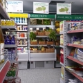 Mici, dar multe: Patriciu vrea sa rastoarne granzii din retail cu 3.000 de bacanii Mic.Ro - Foto 3 din 12