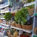 Mici, dar multe: Patriciu vrea sa rastoarne granzii din retail cu 3.000 de bacanii Mic.Ro - Foto 4 din 12