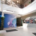 P&G Romania - Foto 12 din 21