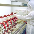 Nani tureaza motoarele Antibiotice la export: De acolo se intorc adevaratele valori si profituri - Foto 8 din 8