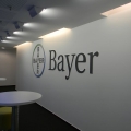 Bayer - Foto 1 din 24