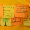 Microsoft Romania - Foto 3 din 32