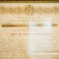 Birourile NNDKP (Nestor Nestor Diculescu Kingston Petersen) - Foto 14 din 32