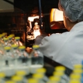 Fabrica Sindan Pharma - Foto 2 din 11