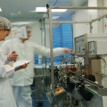 Fabrica Sindan Pharma - Foto 8 din 11