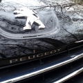 Peugeot 508 - Foto 1 din 18