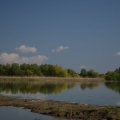 Fotografii din Delta cu Nikon D5100 - Foto 10 din 20