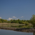 Fotografii din Delta cu Nikon D5100 - Foto 11 din 20