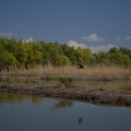 Fotografii din Delta cu Nikon D5100 - Foto 12 din 20