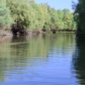 Fotografii din Delta cu Nikon D5100 - Foto 15 din 20