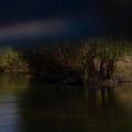 Fotografii din Delta cu Nikon D5100 - Foto 16 din 20