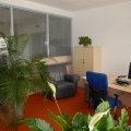UPC Romania - Foto 15 din 31