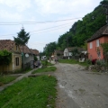 Gospodarii din Nemsa si Rasca - Foto 11 din 21