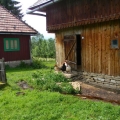 Gospodarii din Nemsa si Rasca - Foto 18 din 21