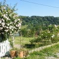 Fotografii din Normandia - Foto 8 din 16