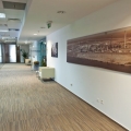 BIROU DE COMPANIE - Arhiva - Foto 21 din 48