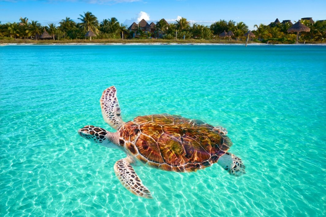 ★ 16 cele mai bune locuri de vizitat în Insulele Canare ★ - Atractii Turistice